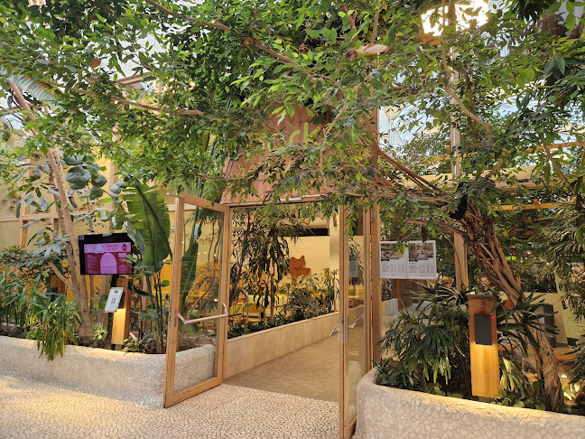 Baluba Bar - Gastronomie und Hotellerie