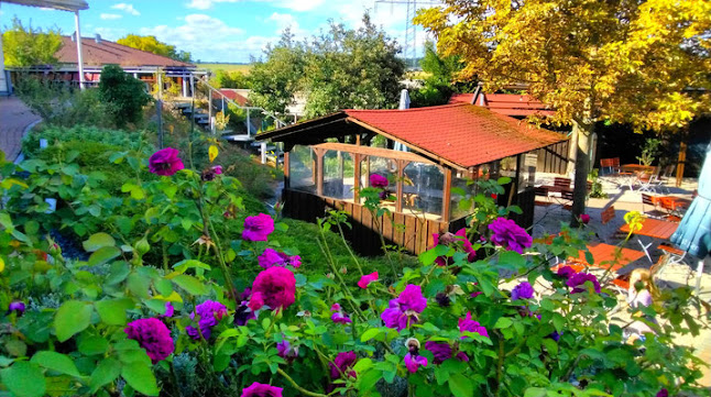 Comentarii opinii despre Restaurant Holderbüschle