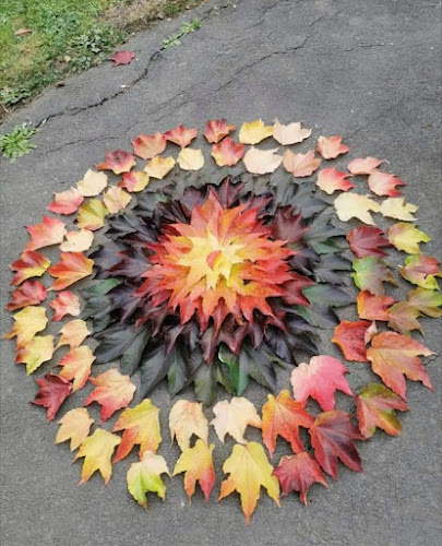 Opinii despre JOE’S DINER Frankenthal în Frankenthal - Gastronomie und Hotellerie