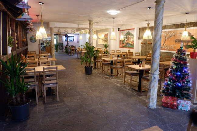 Kaiserstraße 37, 61169 Friedberg (Hessen)