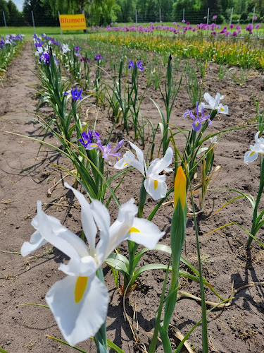 Heidturmweg 20a, 33100 Paderborn