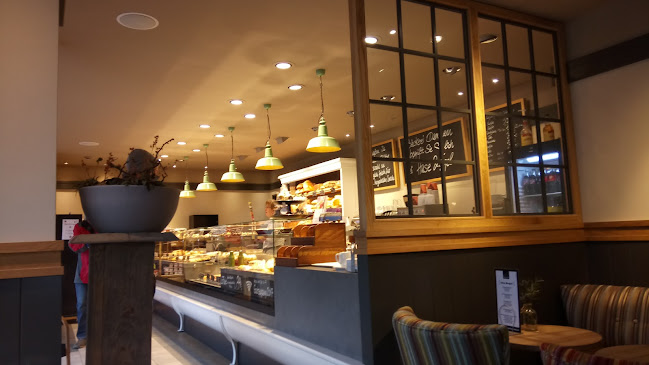 HASE & IGEL - Buxtehude