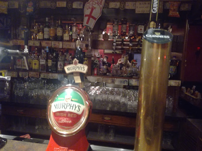 Comentarii opinii despre English Pub The Red Lion