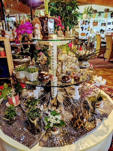 Opinii despre Deko Café Blickfang Nordhorn în Nordhorn - Gastronomie und Hotellerie