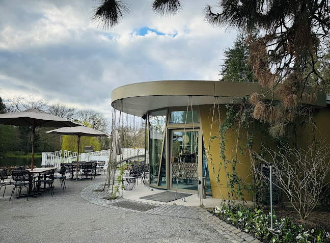 Auedamm 60, 34121 Kassel