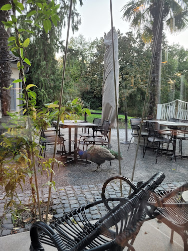 Café Siebenbergen - Kassel