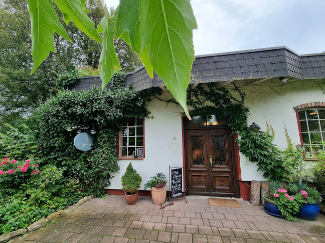 Comentarii opinii despre Bauernhofcafé Thing-Hof