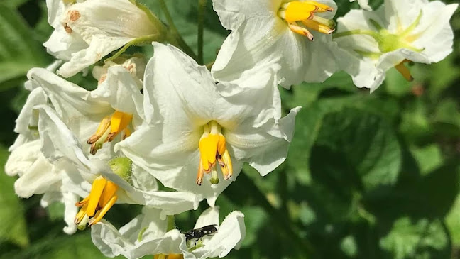 Kantine frisch & fair gGmbH / Neugablonz - Gastronomie und Hotellerie