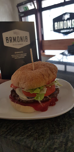 Comentarii opinii despre Armonia