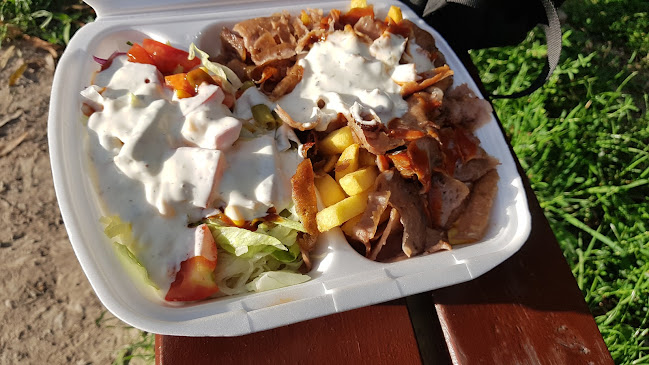 Johann-Karl-Wezel-Straße 54, 99706 Sondershausen