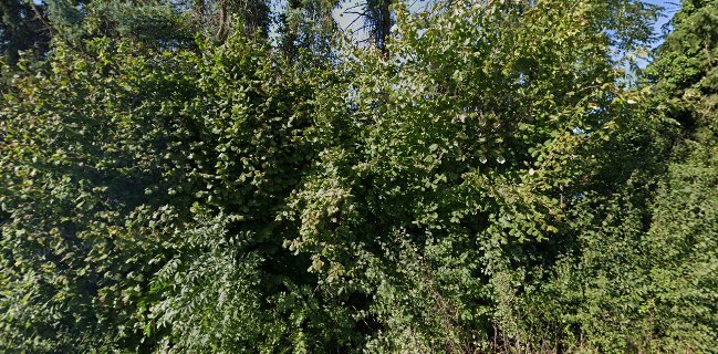 Happy End Club Bar & Bordell Escort Service München