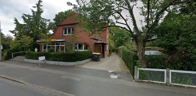 Comentarii opinii despre Olaf Pein