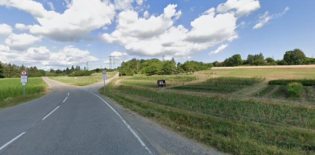 Opinii despre Blumen zum Selberpflücken în Leonberg - Gastronomie und Hotellerie