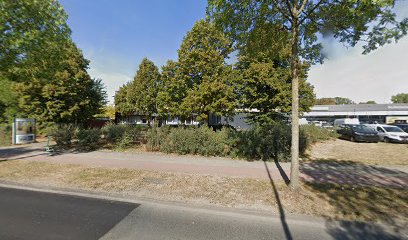 Geschirrverleih Münster Michael Eifer