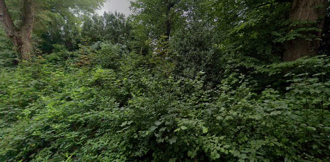 Comentarii opinii despre Feinkost Manufaktur GmbH Gut Valenbrook