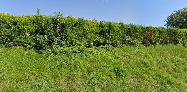 Istanbul Restaurant, Erhan Urun