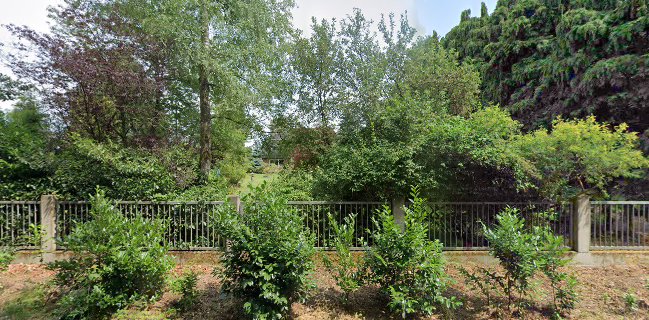 Türks Fleischhandel