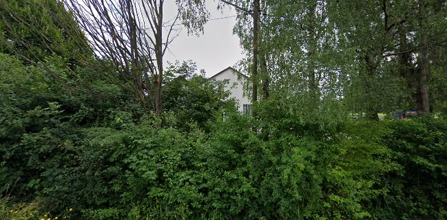 Trattoria Pizzeria Centrale