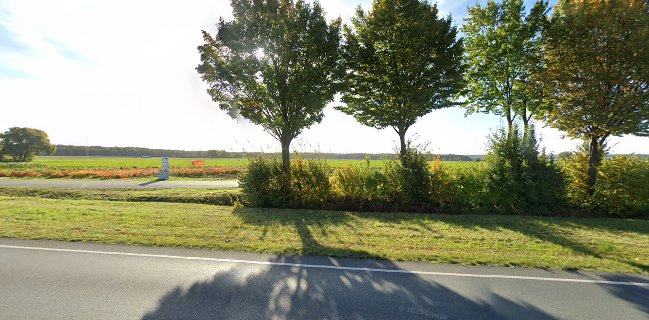 Hochstift-Blumen - Blumen selber pflücken