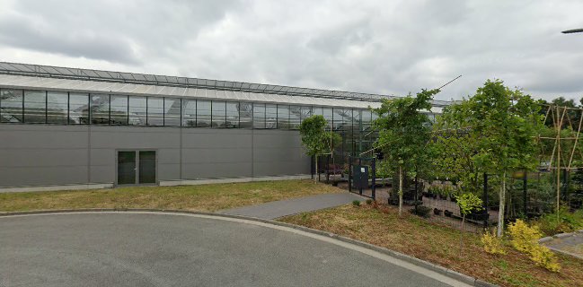 le Café Behrens-Meyer Tweelbäke