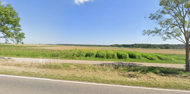 Blumen zum selber schneiden - Schönaich