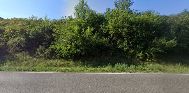 Gutsschänke Holzhof