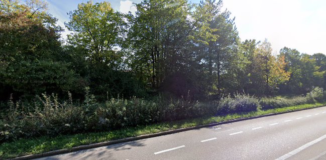 DEBI'S TSG Stadiongaststätte