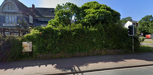 LOKVOGEL bei Taube und Dave